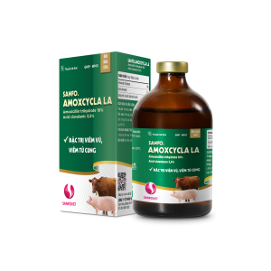 AMOXCIACLA LA 100ML