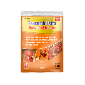 FEACOMB EXTRA 1KG_updated
