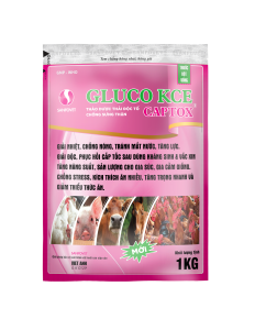 THUỐC THÚ Y GLUCO KCE CAPTOX