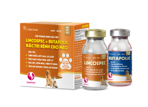 CẶP KHÁNG SINH CAO CẤP ĐẶC TRỊ BỆNH CHÓ MÈO