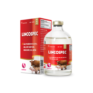 THUỐC THÚ Y LINCOSPEC