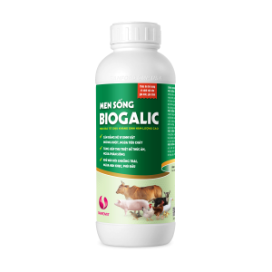 THUỐC THÚ Y MEN SỐNG BIOGALIC