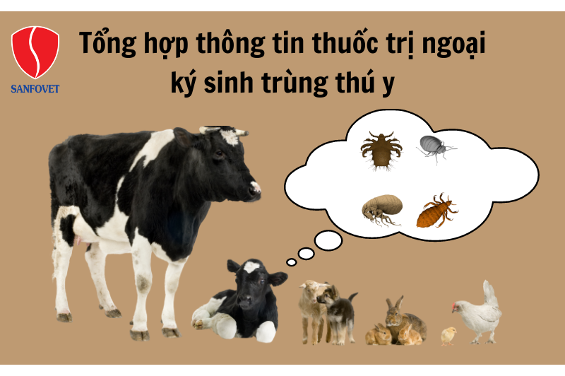 Tổng hợp thông tin thuốc trị ngoại ký sinh trùng thú y