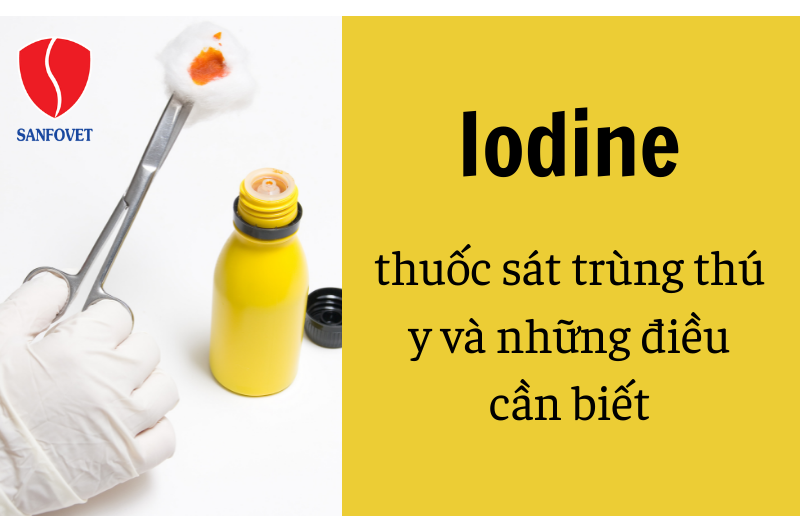 Iodine thuốc sát trùng thú y và những điều cần biết