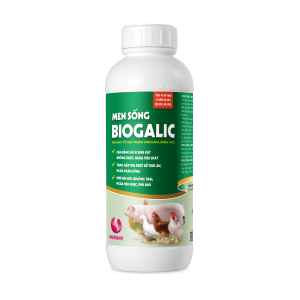 THUỐC THÚ Y MEN SỐNG BIOGALIC