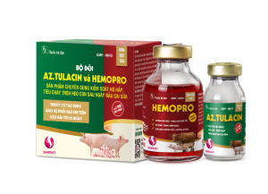 BỘ ĐÔI AZ.TULACIN và HEMOPRO