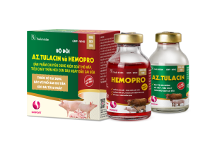BỘ ĐÔI AZ.TULACIN và HEMOPRO