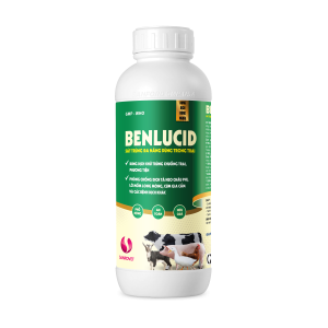 THUỐC THÚ Y – BENLUCID