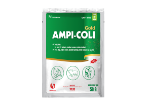 THUỐC THÚ Y – AMPI COLI GOLD
