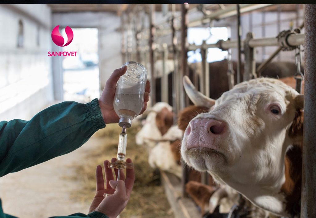 enrofloxacin thuốc thú y2