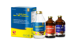 BỘ BA SANFO.CEPTY, APRA-SPĐ VÀ ACHYMOSIN