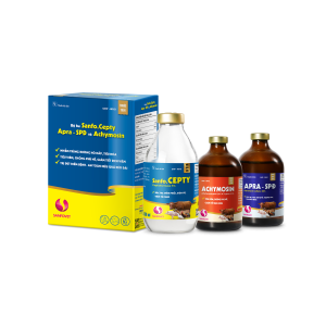 BỘ BA SANFO.CEPTY, APRA-SPĐ VÀ ACHYMOSIN