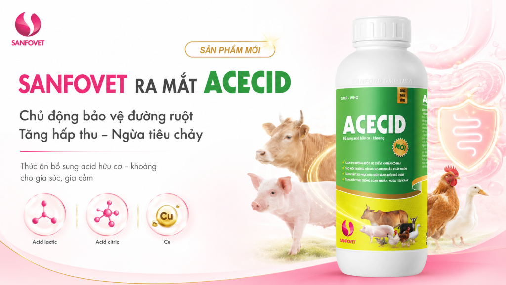 ACECID – Công thức acid hữu cơ – khoáng đa tác động cho đường ruột vật nuôi