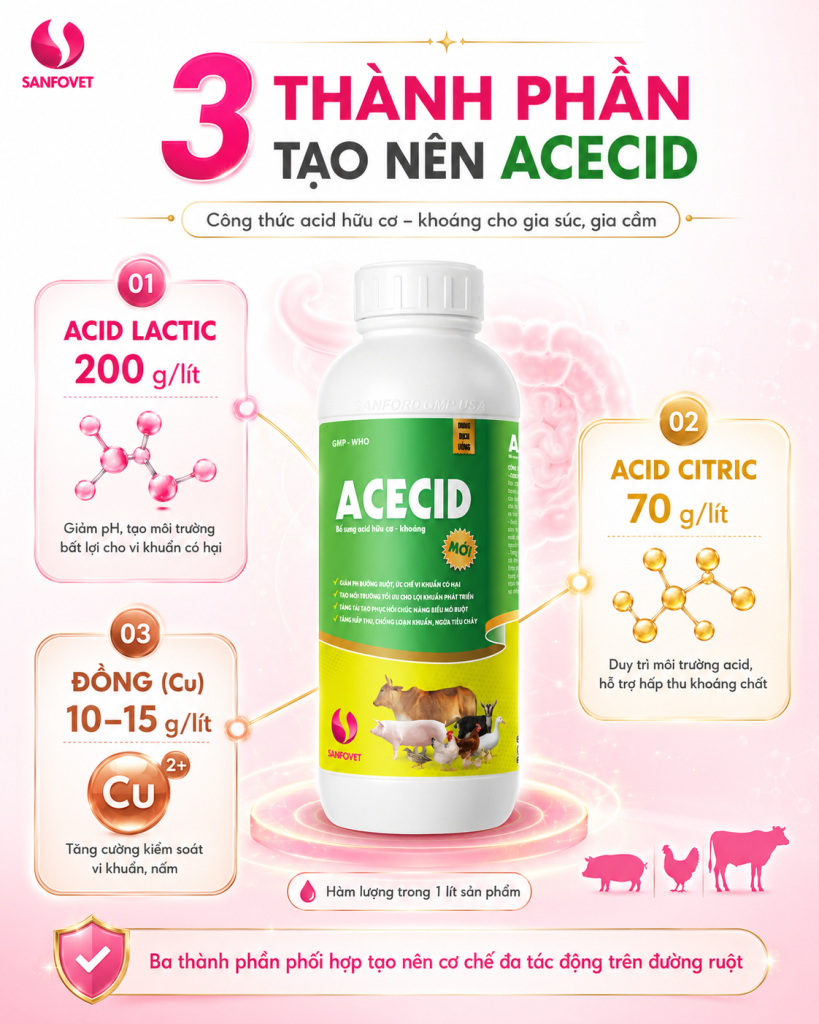 ACECID – Công thức acid hữu cơ – khoáng đa tác động cho đường ruột vật nuôi