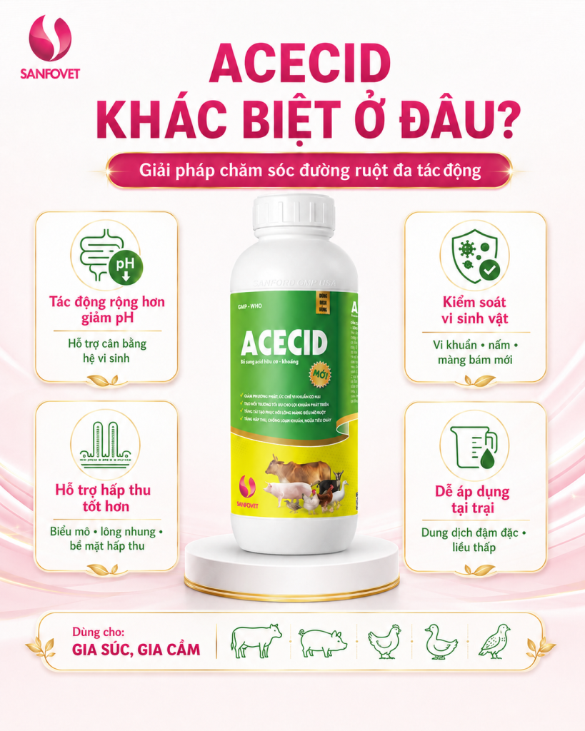 ACECID – Công thức acid hữu cơ – khoáng đa tác động cho đường ruột vật nuôi