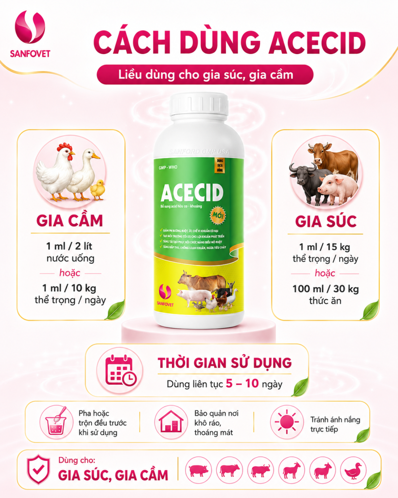 ACECID – Công thức acid hữu cơ – khoáng đa tác động cho đường ruột vật nuôi