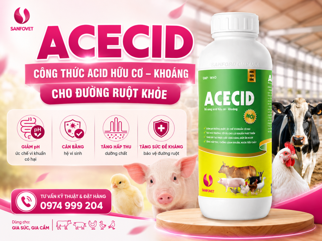 ACECID – Công thức acid hữu cơ – khoáng đa tác động cho đường ruột vật nuôi
